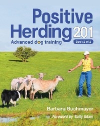 Positive Herding 201