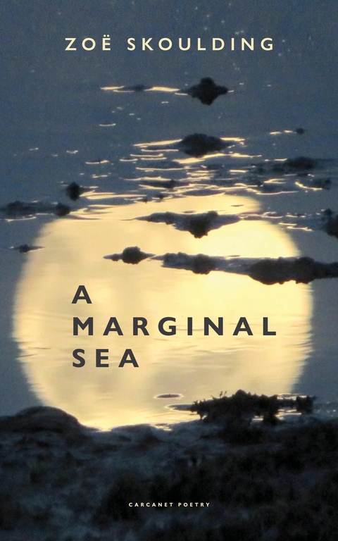 Marginal Sea -  Zoe Skoulding