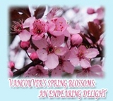 Vancouver's Spring Blossoms - Rowena Kong