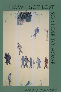 How I Got Lost So Close to Home - Amy Dryansky