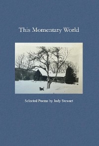 This Momentary World - Jody Stewart