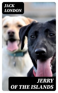 Jerry of the Islands