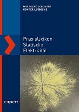 Praxislexikon statische Elektrizit&auml;t - Wolfgang Schubert, G&uuml;nter L&uuml;ttgens