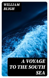 A Voyage to the South Sea