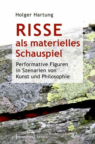 Risse als materielles Schauspiel