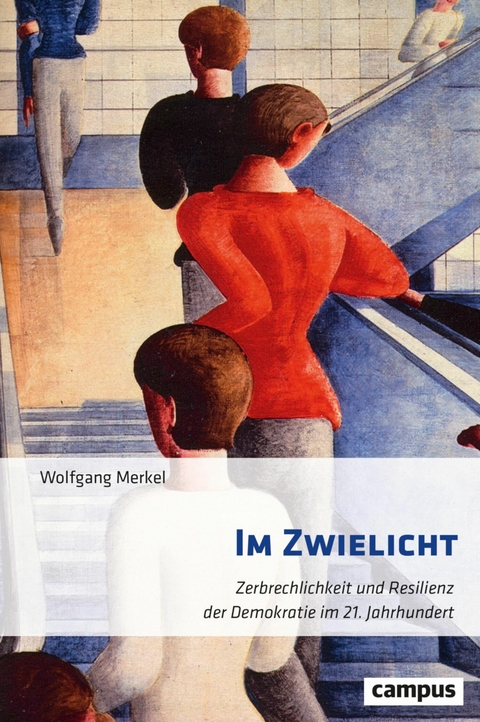 Im Zwielicht -  Wolfgang Merkel