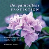 Bougainvilleas PROTECTION -  Narad (Richard Eggenberger), Nilisha Mehta