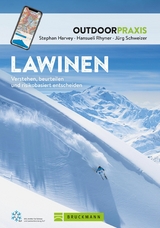 Lawinen - Stephan Harvey, Hansueli Rhyner, J&uuml;rg Schweizer