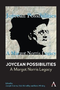 Joycean Possibilities: A Margot Norris Legacy - 