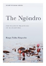 The Ng&ouml;ndro - Ringu Tulku