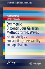 Symmetric Discontinuous Galerkin Methods for 1-D Waves - Aurora Marica, Enrique Zuazua