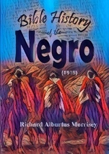 Bible History of the Negro - Richard Alburtus Morrisey