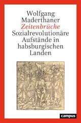 Zeitenbrüche -  Wolfgang Maderthaner