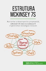 Estrutura McKinsey 7S - Anastasia Samygin-Cherkaoui