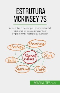 Estrutura McKinsey 7S - Anastasia Samygin-Cherkaoui