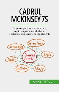 Cadrul McKinsey 7S - Anastasia Samygin-Cherkaoui