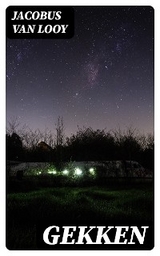 Gekken - Jacobus Van Looy