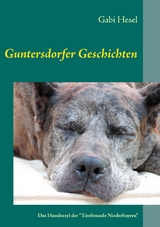 Guntersdorfer Geschichten - Gabi Hesel