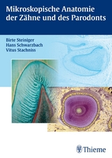 Mikroskopische Anatomie der Z&auml;hne und des Parodonts - Birte Steiniger, Vitus Stachniss, Hans Schwarzbach