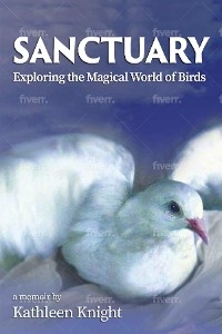 Sanctuary - Exploring the Magical World of Birds