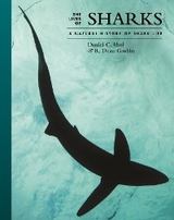 The Lives of Sharks - Daniel Abel, R. Dean Grubbs