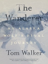 The Wanderer - Tom Walker