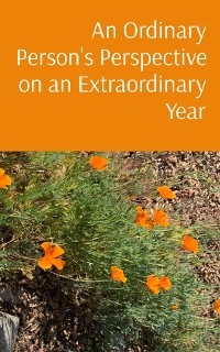 An Ordinary Person's Perspective on an Extraordinary Year - Beth Donovan