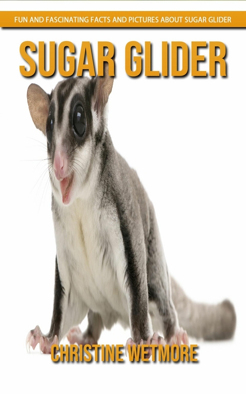 Sugar Glider - Fun and Fascinating Facts and Pictures About Sugar Glider - Christine Wetmore