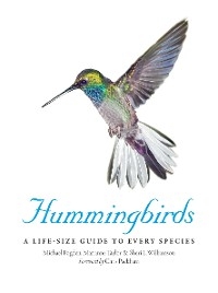 Hummingbirds - Michael Fogden, Marianne Taylor