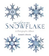 Art of the Snowflake -  Kenneth Libbrecht