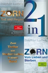 Tod und Regen / Vom Lieben und Sterben – Zwei Zorn-Thriller in einem Band - Stephan Ludwig