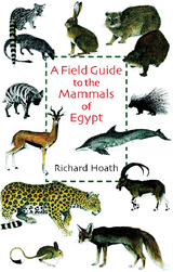 A Field Guide to the Mammals of Egypt - Richard Hoath