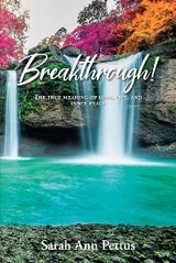 Breakthrough! - Sarah Ann Pettus