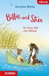 Billie und St&uuml;x. Ein Pony f&auml;llt vom Himmel - Doroth&eacute;e B&ouml;hlke