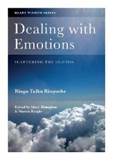 Dealing with Emotions - Ringu Tulku