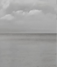 Immigrants of the Sea