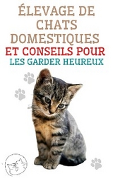 &Eacute;levage de Chats Domestiques et Conseils Pour les Garder Heureux - Edwin Pinto