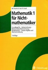 Mathematik 1 für Nichtmathematiker - Manfred Precht, Karl Voit, Roland Kraft