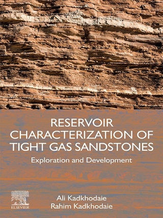 Reservoir Characterization of Tight Gas Sandstones