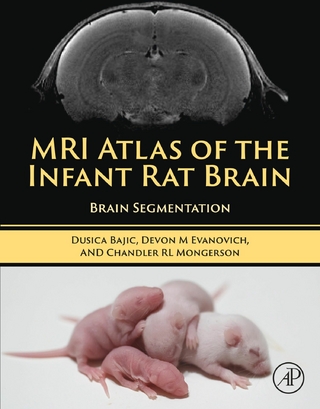 MRI Atlas of the Infant Rat Brain