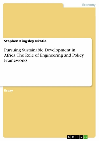 Pursuing Sustainable Development in Africa. The Role of Engineering and Policy Frameworks