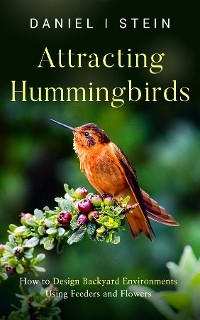 Attracting Hummingbirds