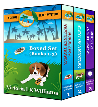 Citrus Beach Mystery: Box Set