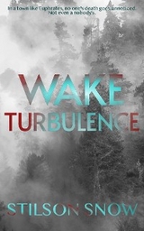 Wake Turbulence - Stilson Snow