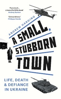 A Small, Stubborn Town - Andrew Harding