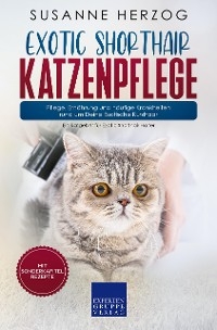 Exotic Shorthair Katzenpflege – Pflege, Ernährung und häufige Krankheiten rund um Deine Exotische Kurzhaar