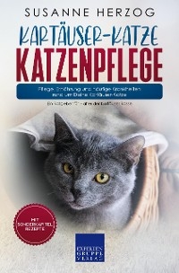 Kartäuser-Katze Katzenpflege – Pflege, Ernährung und häufige Krankheiten rund um Deine Kartäuser-Katze