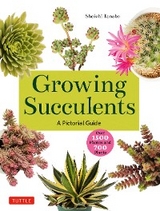 Growing Succulents - Shoichi Tanabe