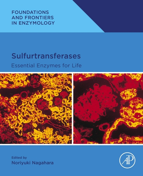 Sulfurtransferases - 