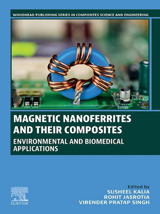 Magnetic Nanoferrites and their Composites